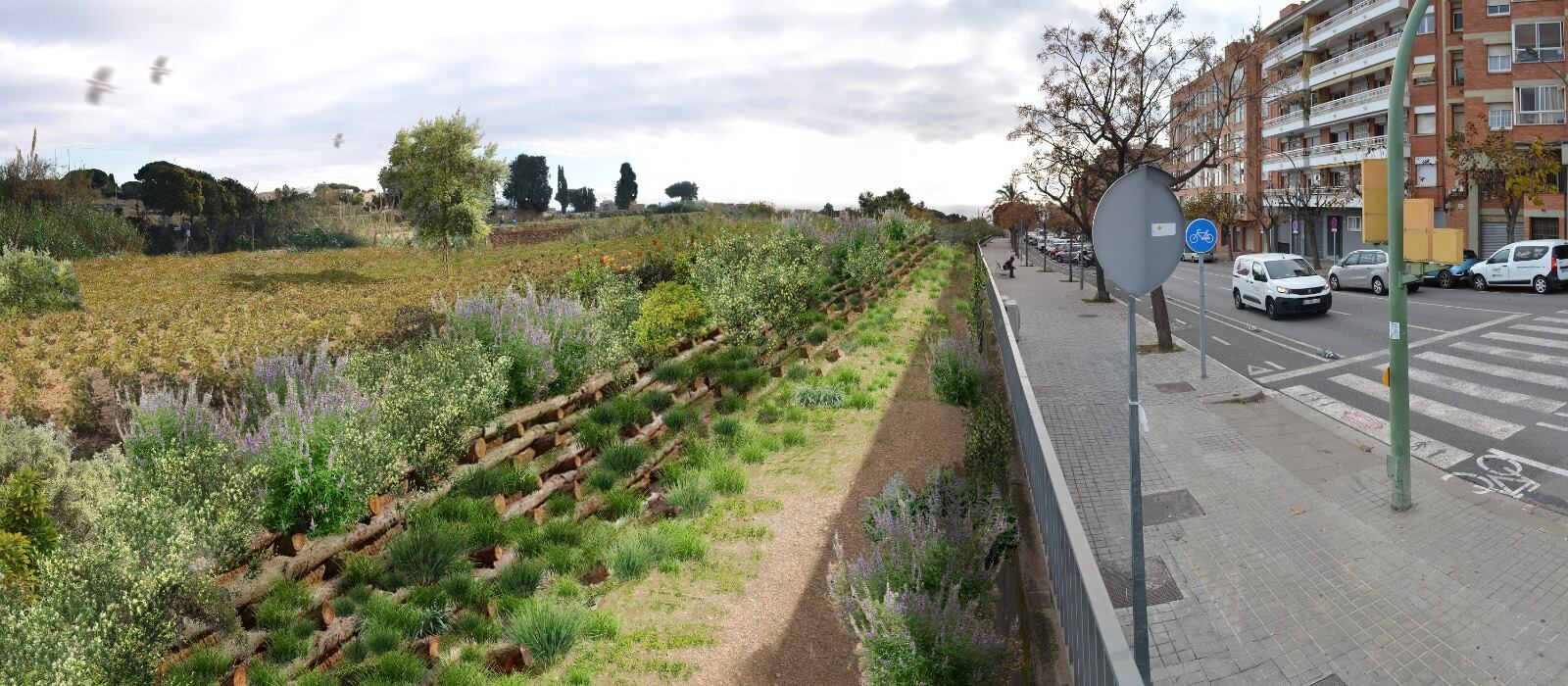 Projecte renaturalització Riera de Sant Simó, a Mataró