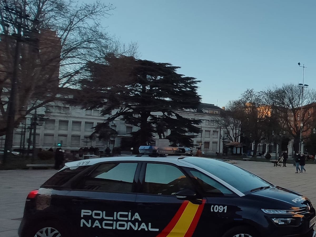Detenido por robar en el interior de un coche estacionado en una calle de Valladolid