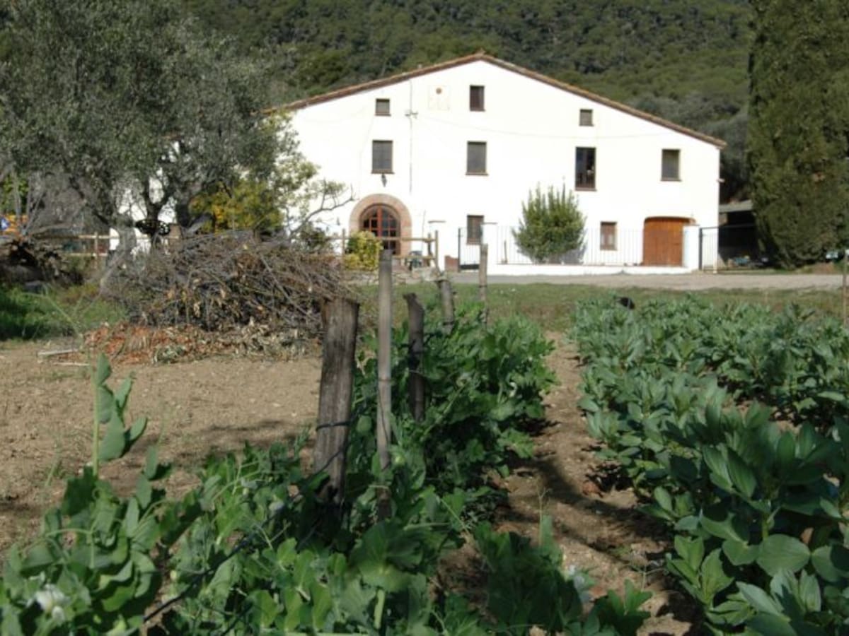 Trabajar el campo por respeto