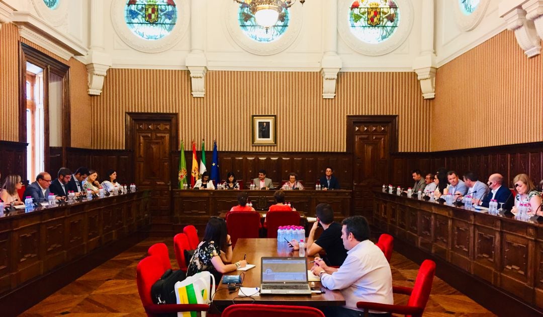 Primer pleno en la Diputación Provincial de Jaén