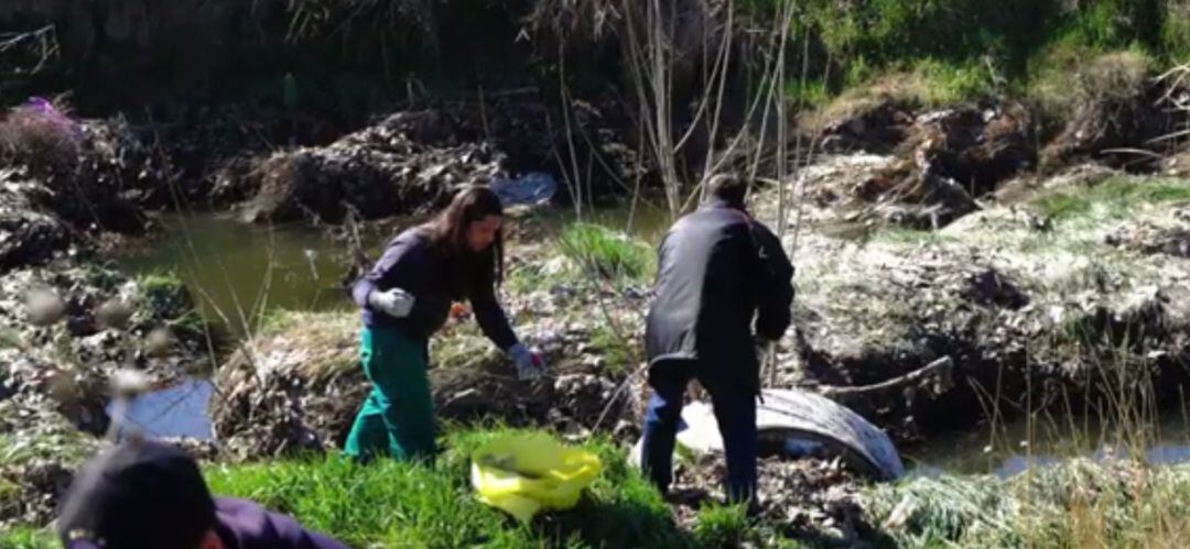 Miembros de la Asociación de Vecinos Leganés Norte realizan labores de limpieza en la zona de Arroyo Butarque a su paso por el barrio.