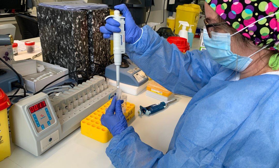 Prueba PCR en un hospital