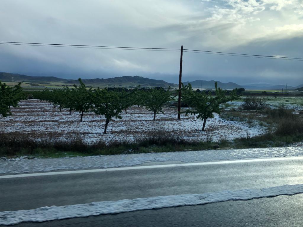 Granizada en Jumilla