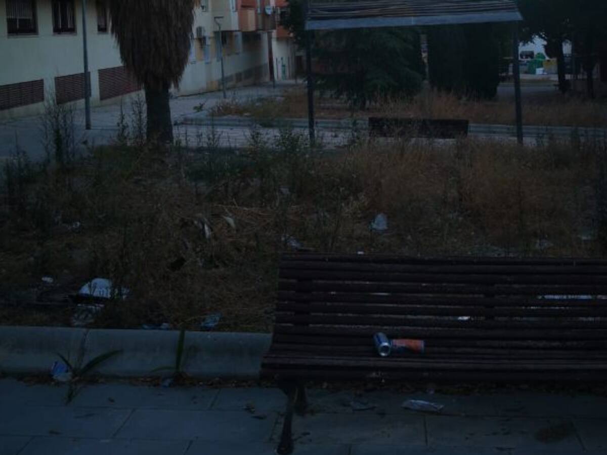 Denuncia ciudadana por el estado de calles y jardines