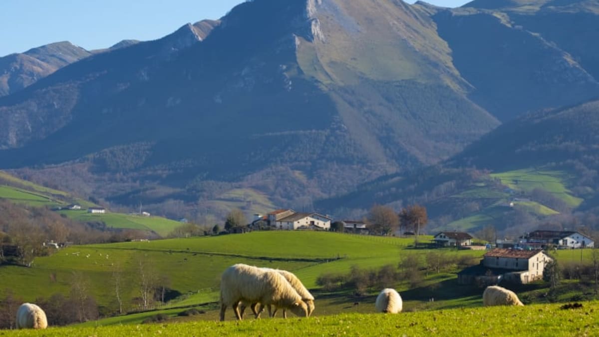 "Queremos que este décimo aniversario sea más una fiesta que un congreso"