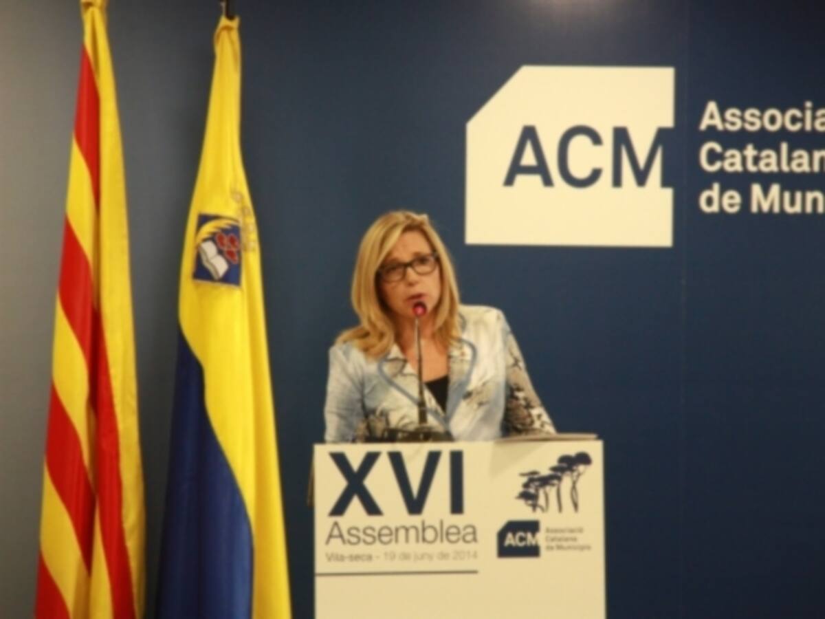 Ortega demana als ajuntaments que expressin el seu suport a la consulta del 9N