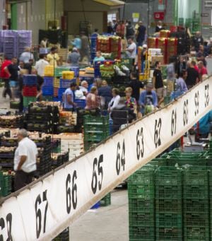 Cada matinada acudeixen a la Tira de Contar al voltant de 300 agricultors