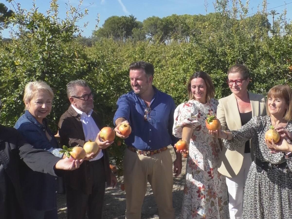 Elche acoge el acto de inicio de campaña de la Granada Mollar con "más complicaciones"