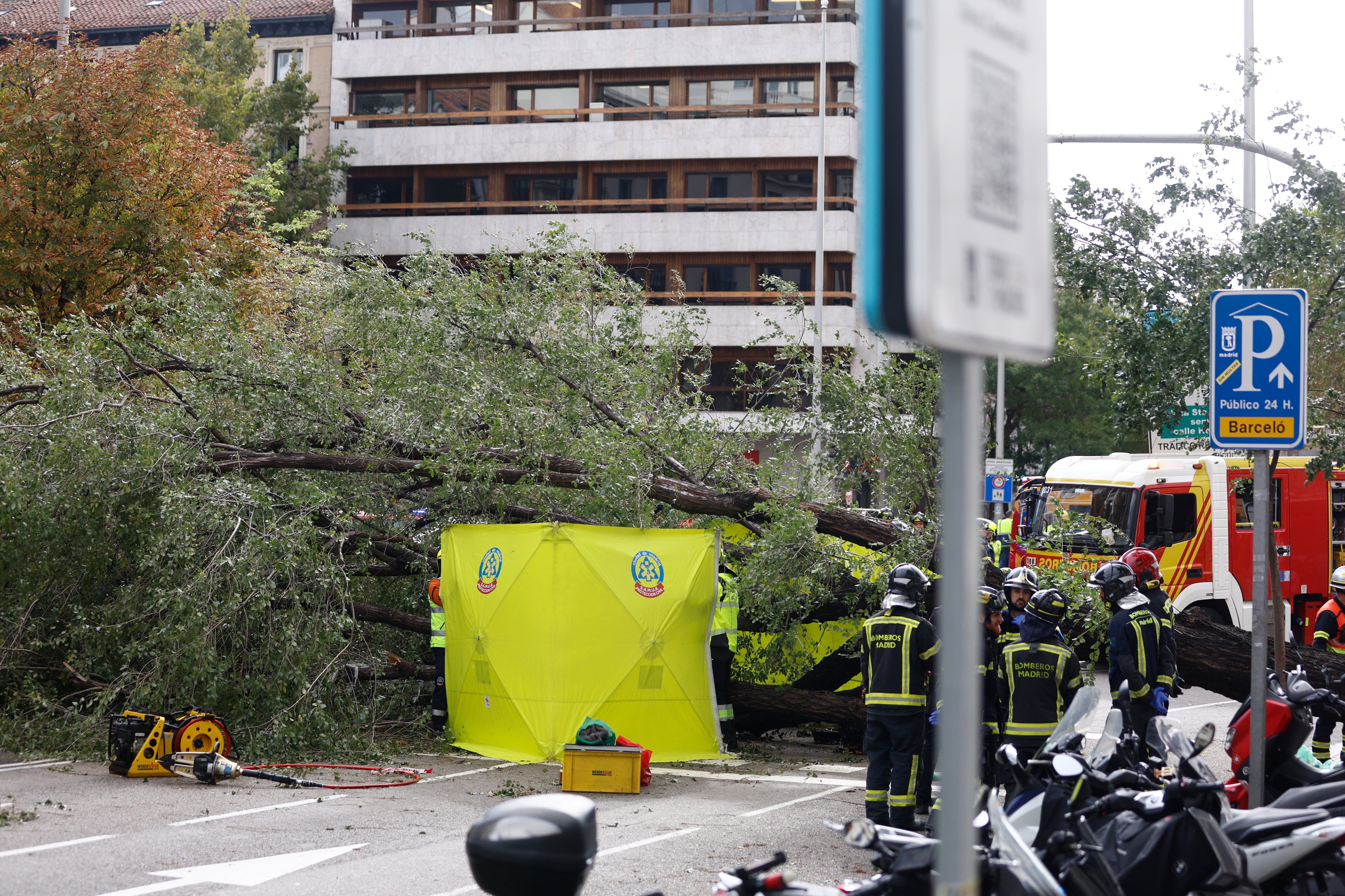 Efectivos del cuerpo de bomberos  en el número 1 de la calle Almagro de Madrid, donde este jueves una mujer joven ha fallecido tras caerle un árbol encima a causa de las fuertes rachas de viento. EFE/ Rodrigo Jimenez