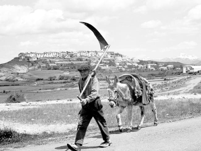 En 2026 el tema del festival es LA MEMORIA. Rupert Dawnay, fotógrafo inglés
