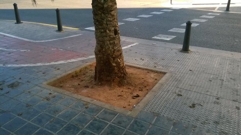 Suciedad en una calle de Valencia