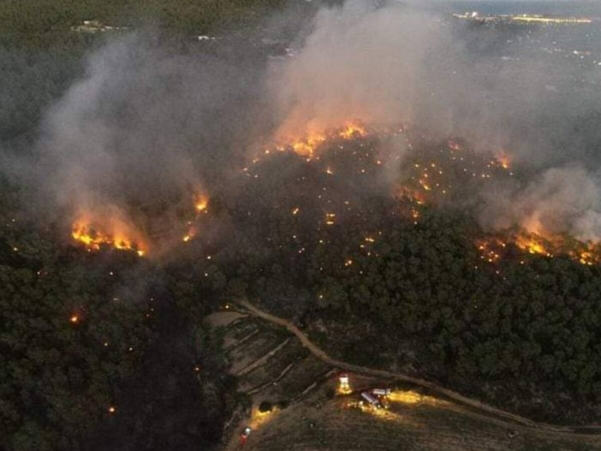 Los fuegos forestales queman dos hectáreas en Ibiza en la primera mitad de 2021