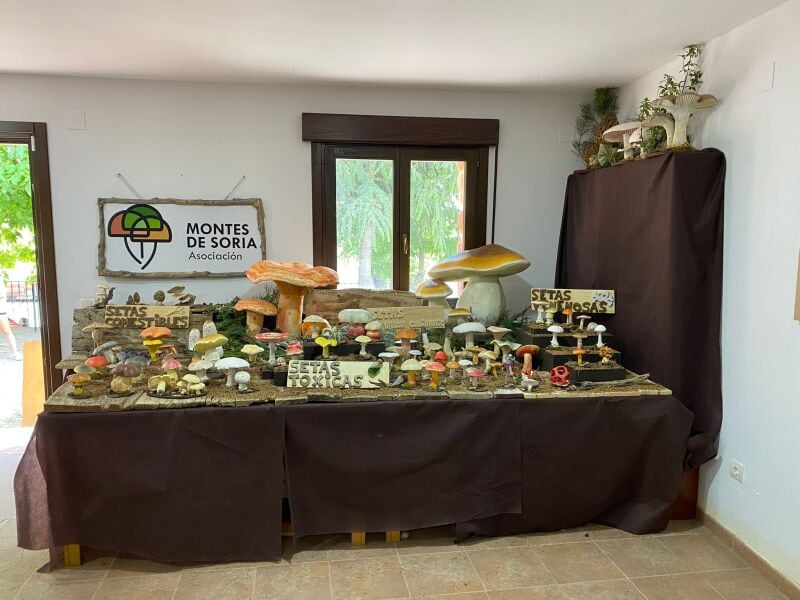 De setas por Soria en verano