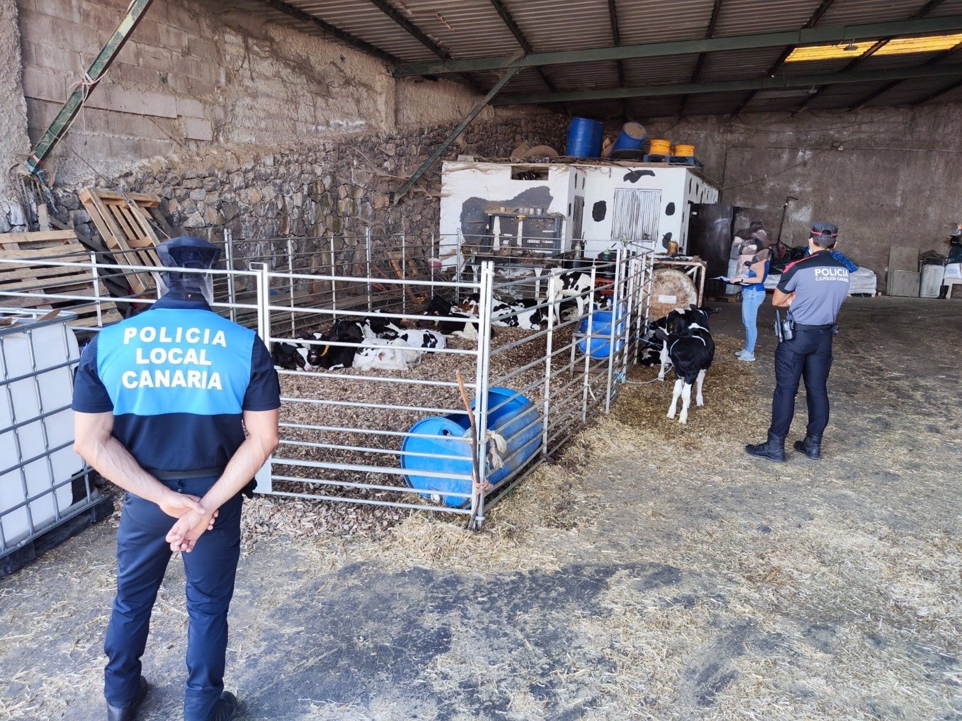 29/08/2024 Operación de Policía Canaria y Policía Local en una granja del norte de Tenerife donde se han localizado cadáveres de animales
ESPAÑA EUROPA ISLAS CANARIAS SOCIEDAD
POLICÍA CANARIA
