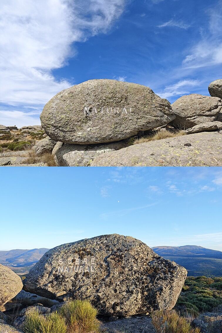 Pieza de Carlos de Gredos