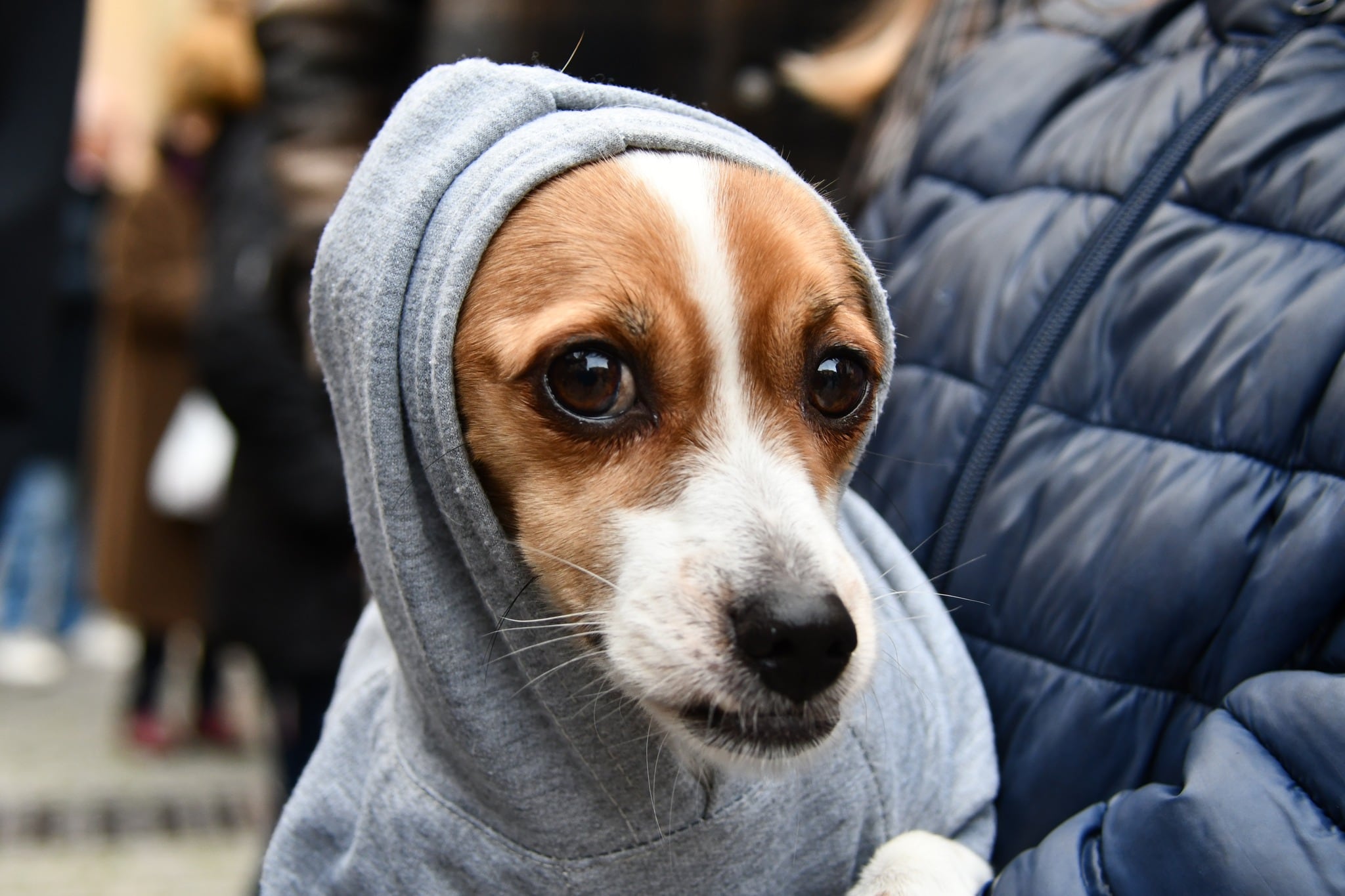 Uno de los asistentes