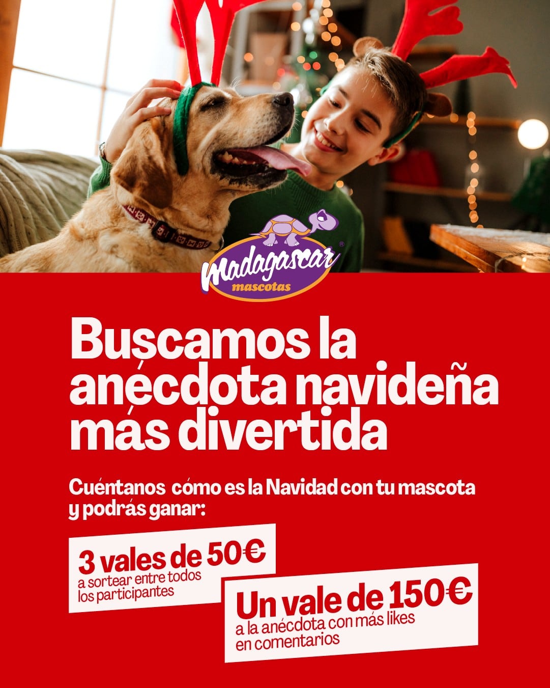 Campaña de Navidad de Madagascar Mascotas