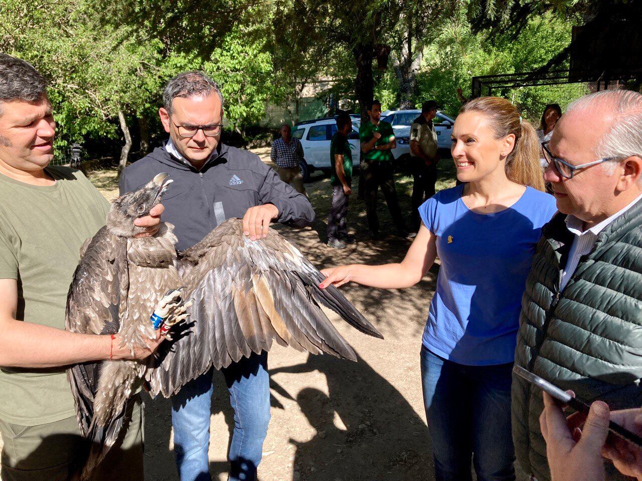 Técnicos de Medio Ambiente y los delegados de la Junta de Andalucía con uno de los pollos de quebrantahuesos.