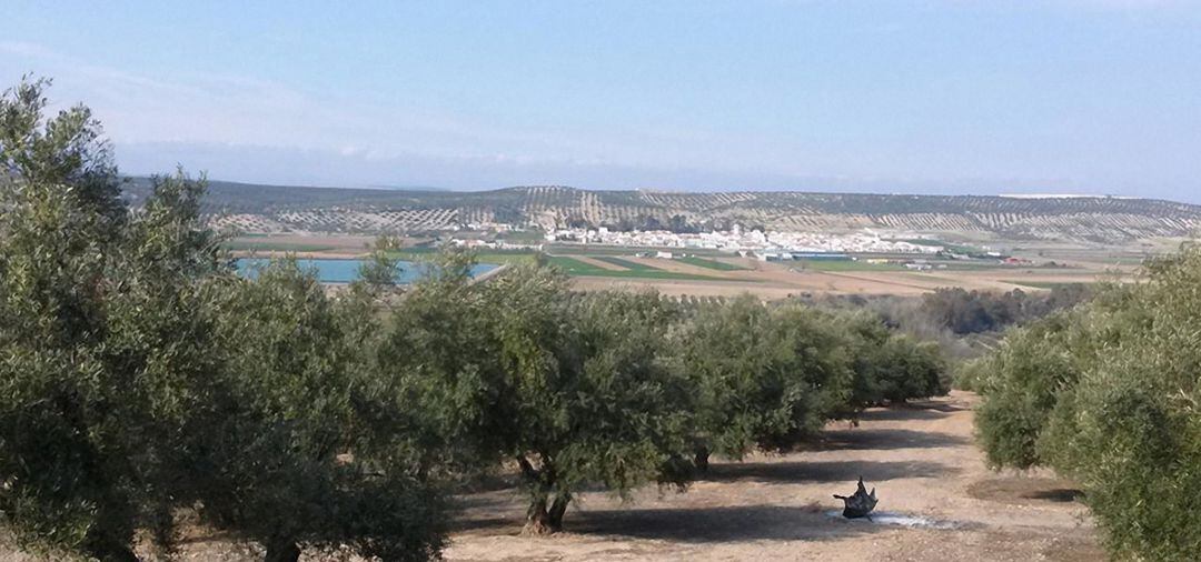 Torreblascopedro desde un olivar cercano.