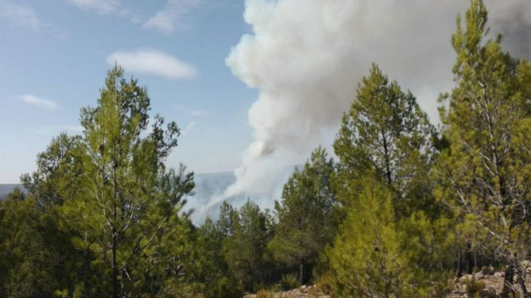 El incendio se extendió en la tarde del jueves al municipio de Enguídanos desde una pedanía de Paracuellos