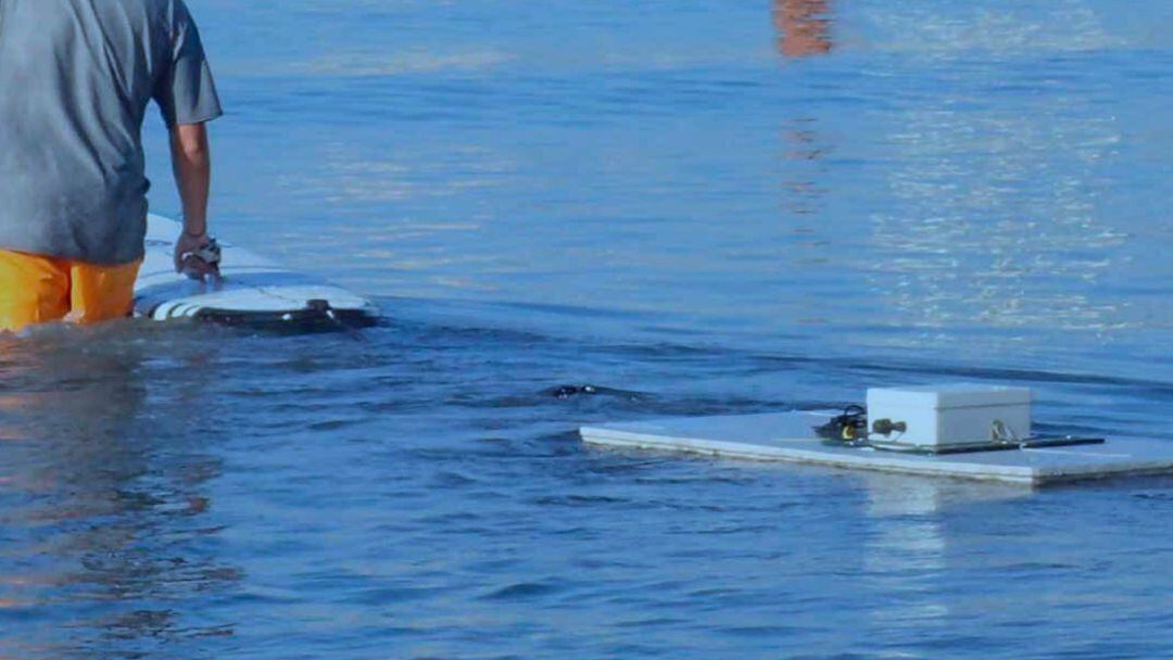 1.500 estudiants de secundària de Balears participen en aquest projecte científic impulsat per la UIB.