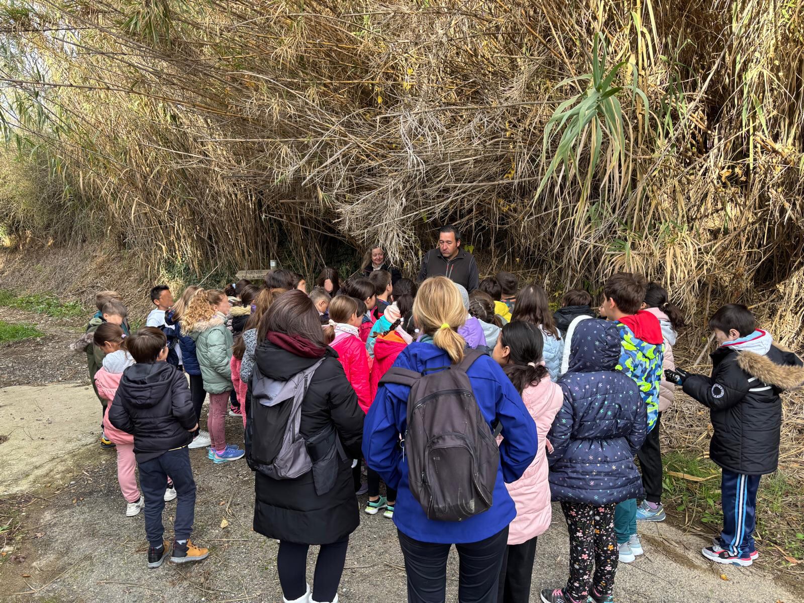 Rutas escolares Cinca Medio.