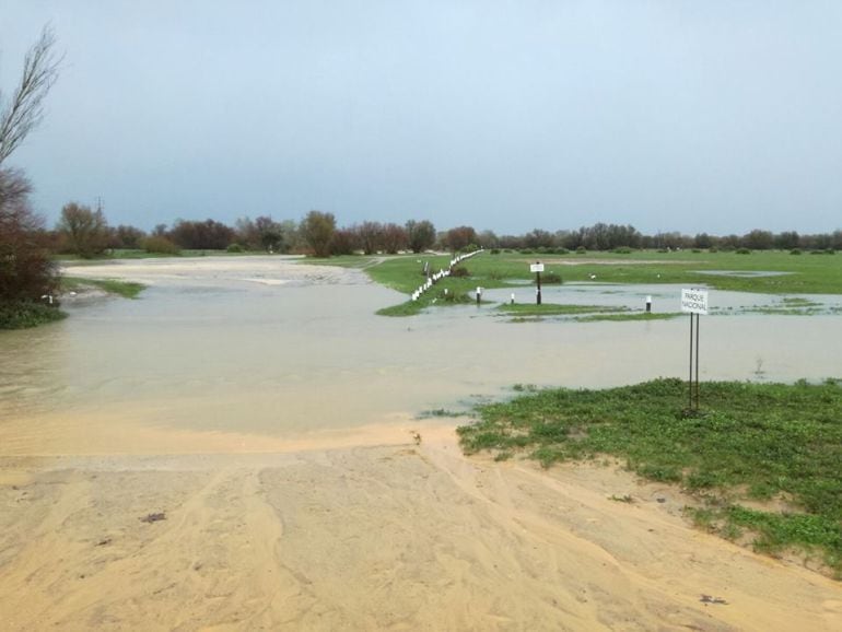 Doñana se inunda de agua gracias a las lluvias