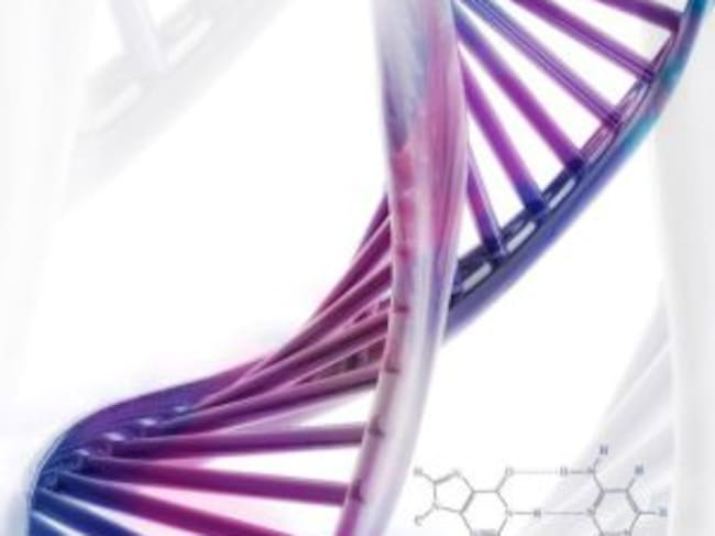 Estructura helicoidal del ADN