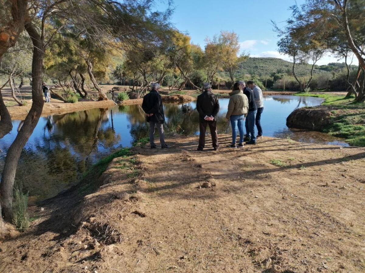 El Clot de Galvany de Elche organiza una visita temática guiada por el Día Internacional de la Tierra