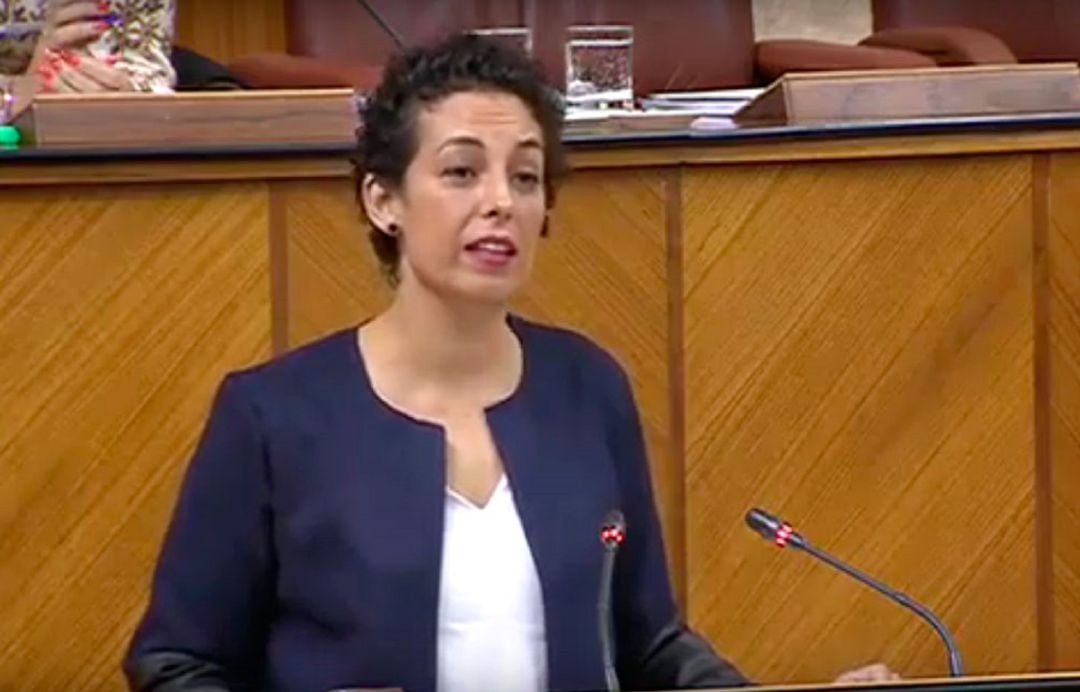 La parlamentaria socialista jiennense, Mercedes Gámez, ha calificado el Plan AIRE de la Junta de Andalucía como &quot;el Plan TIMO&quot;