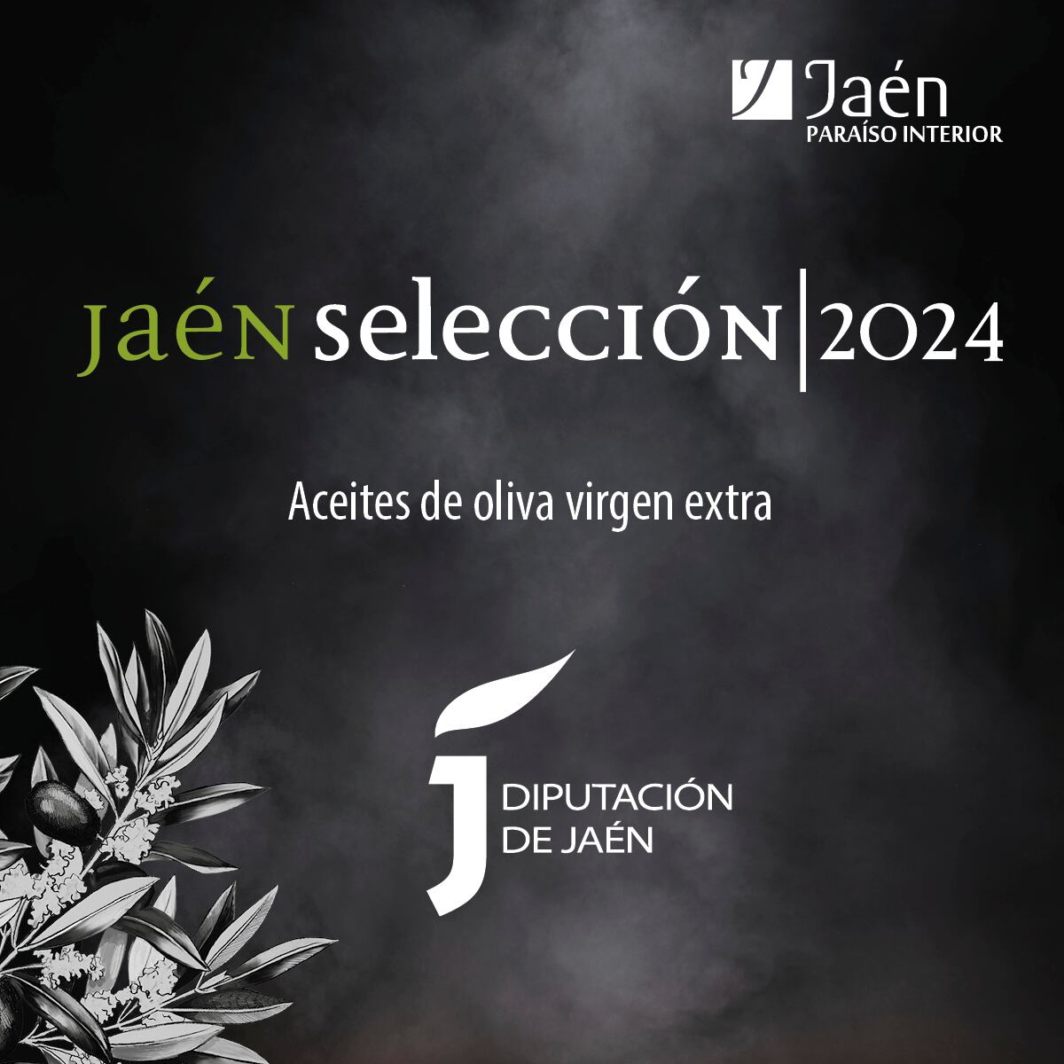 Cata Aceites Jaén Selección 2024