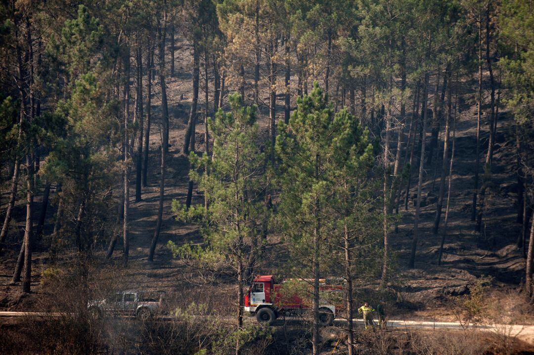 Estos fuegos han calcinado 40 y 25 hectáreas, respectivamente