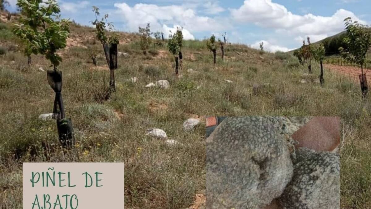 Eduardo Perote, de la Asociación Prao de Luyas, hace balance en la SER la XII Feria de la Biodiversidad de Piñel de Abajo