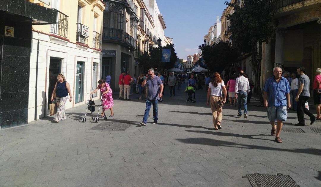 Zona comercial del centro de Jerez