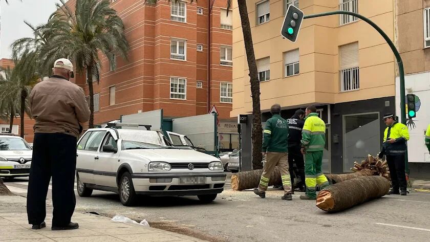 Un fallecido y dos heridos, aplastados por una Palmera en el Zapillo.