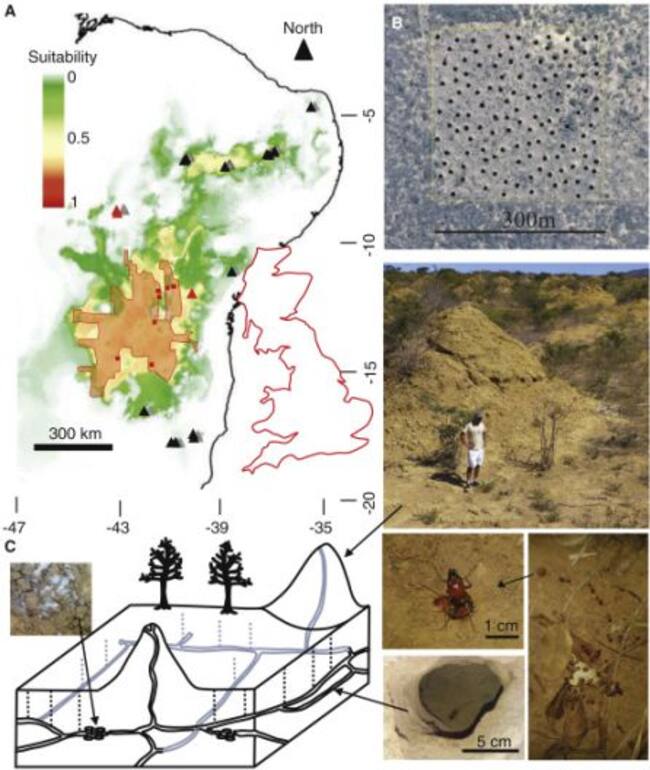La estructura comprende un área similar a Reino Unido.