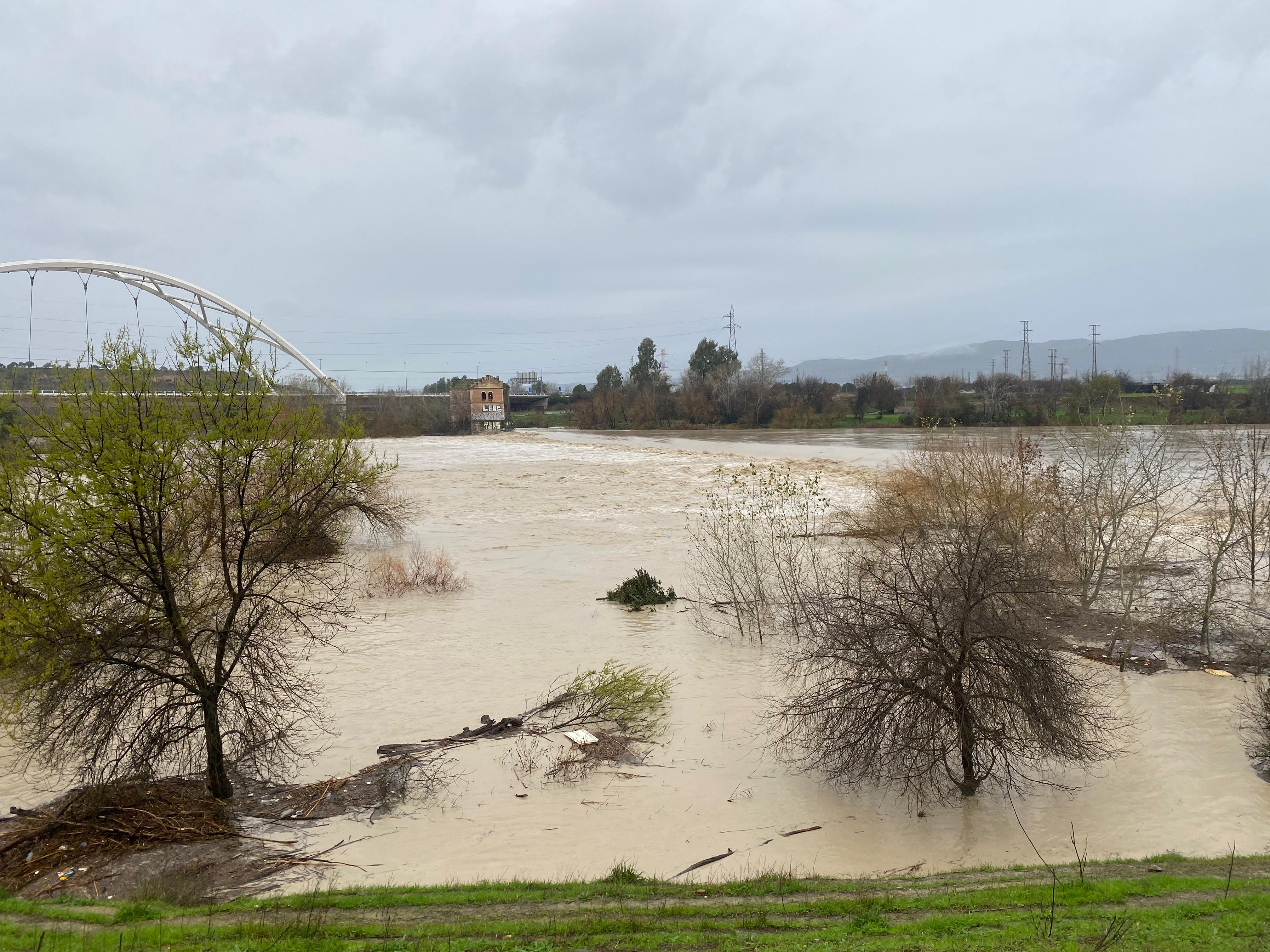 El Guadalquivir por Córdoba tras las lluvias y los desembalses de los últimos días