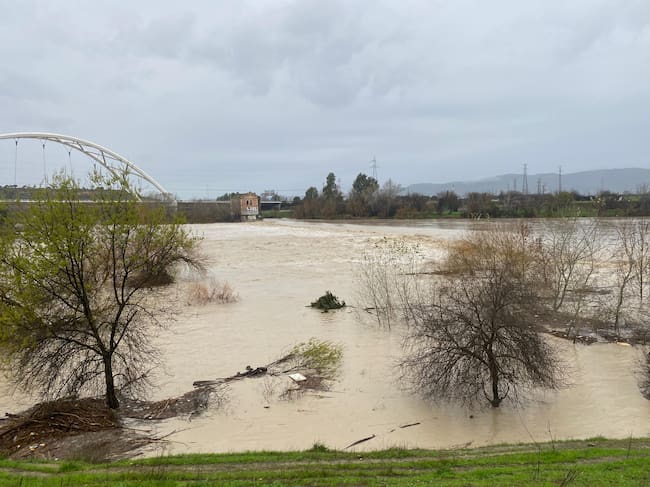 El Guadalquivir por Córdoba tras las lluvias y los desembalses de los últimos días