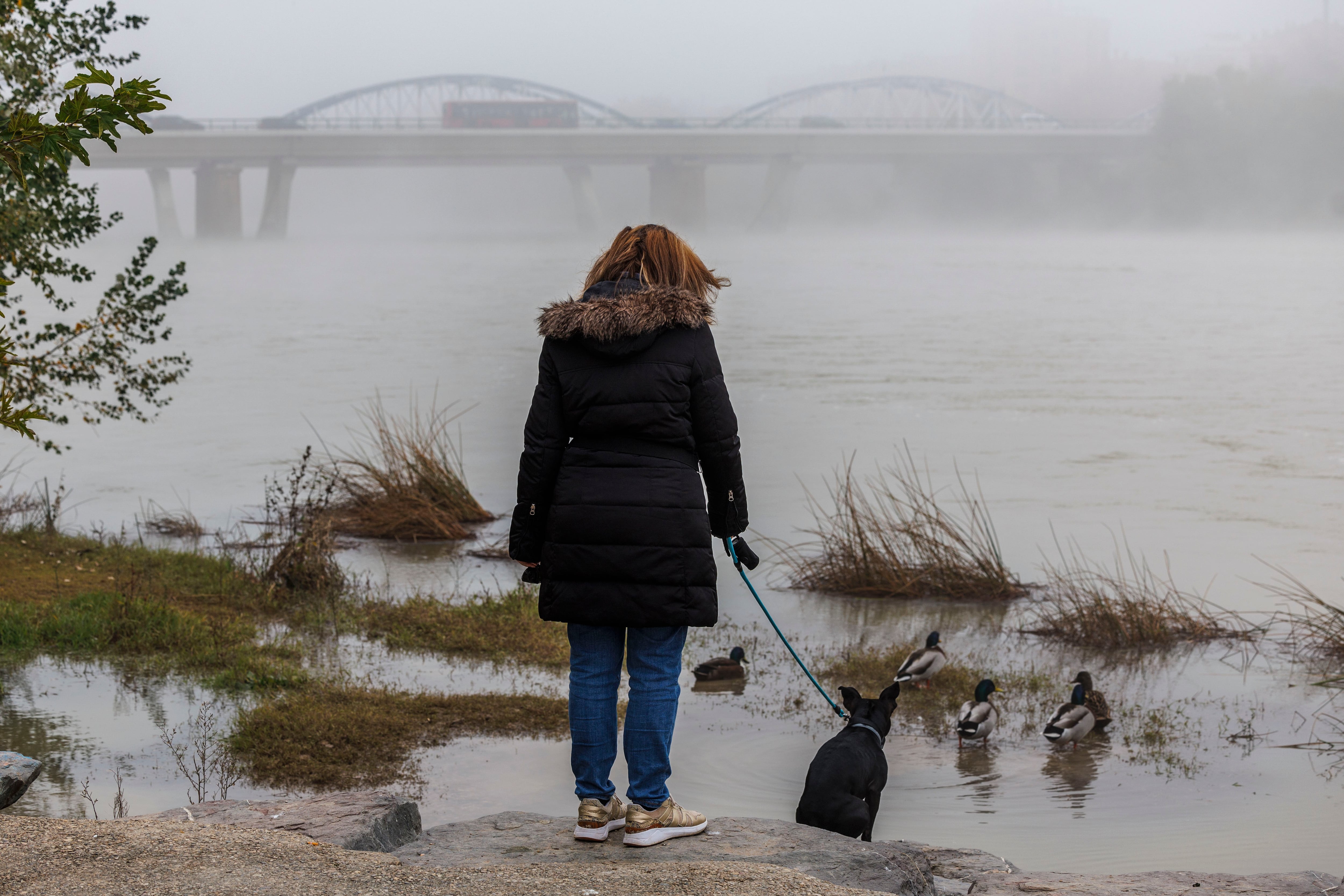 La niebla será también protagonista del puente de la Constitución.