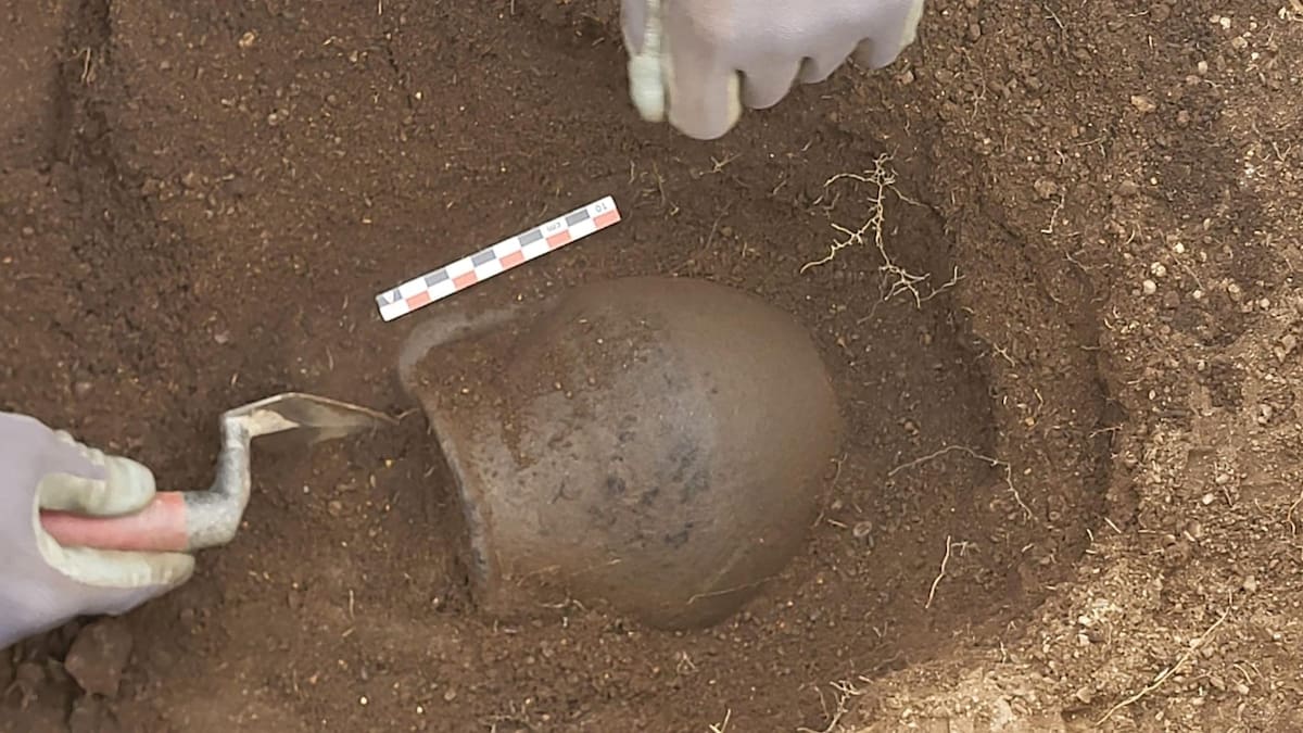 Terra Levis: novedades en La Coba y El Palomar