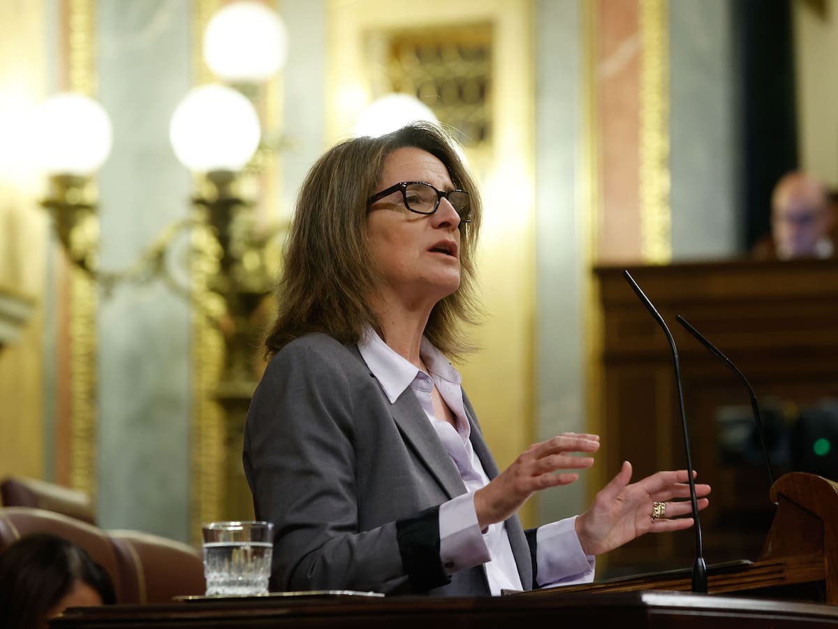 ENTREVISTA. La ministra Ribera aposta per "les aportacions poc agressives" al Delta