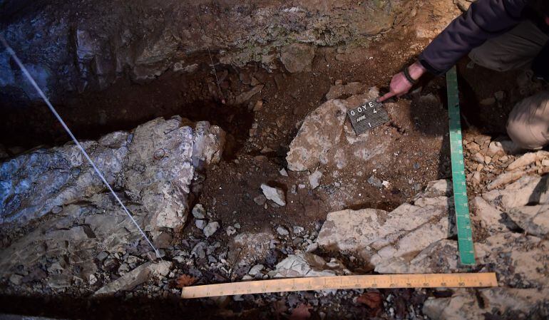 Hallazgo de restos de neandertales en una cueva de Bélgica