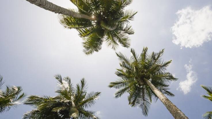 Entrevista a Javier Cumplido (18/03/2021)