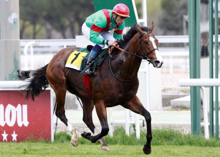 José Luis Martínez a lomos de &#039;Noozhoh Canarias&#039;, en el Hipódromo de La Zarzuela