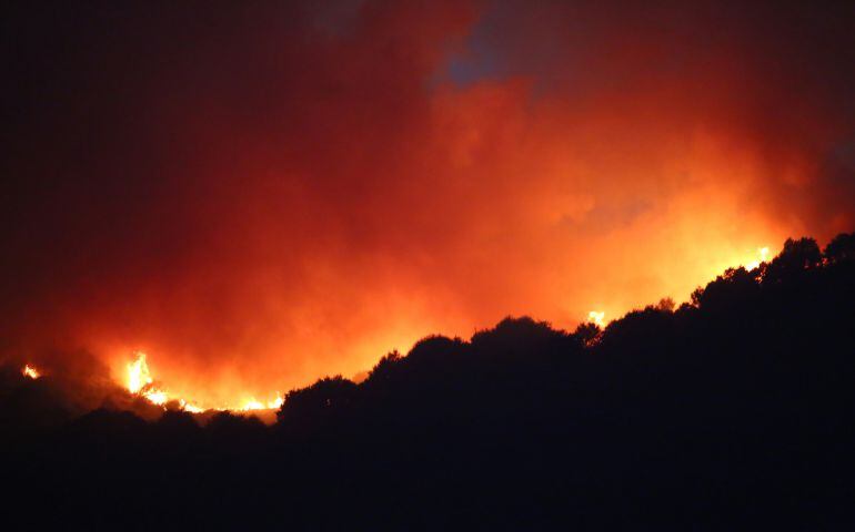 Incendio este verano en León