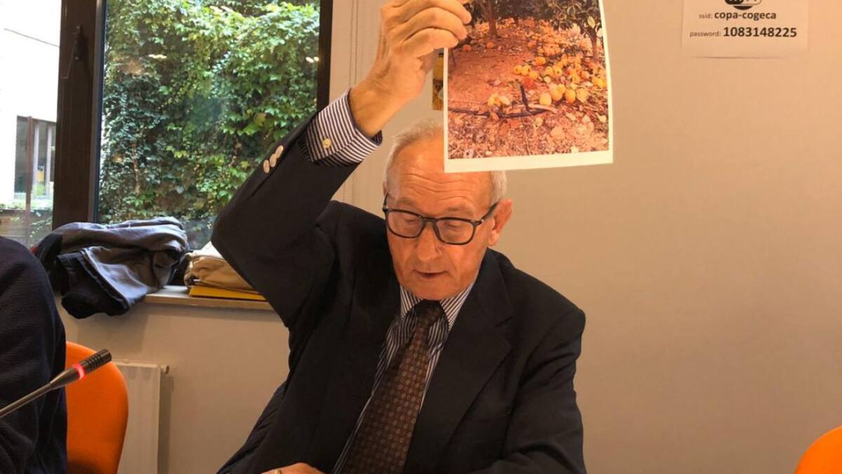 Entrevista en la Ventana a Cristóbal Aguado, presidente de AVA