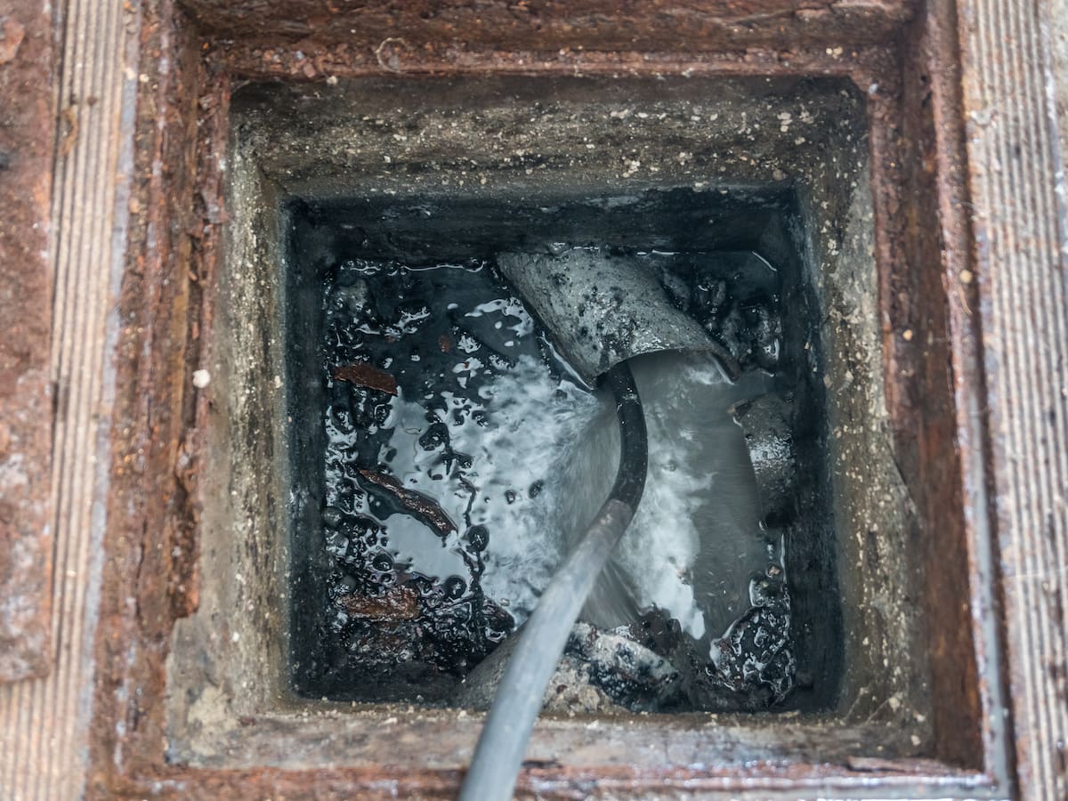 La Llavor (18/10/2025)