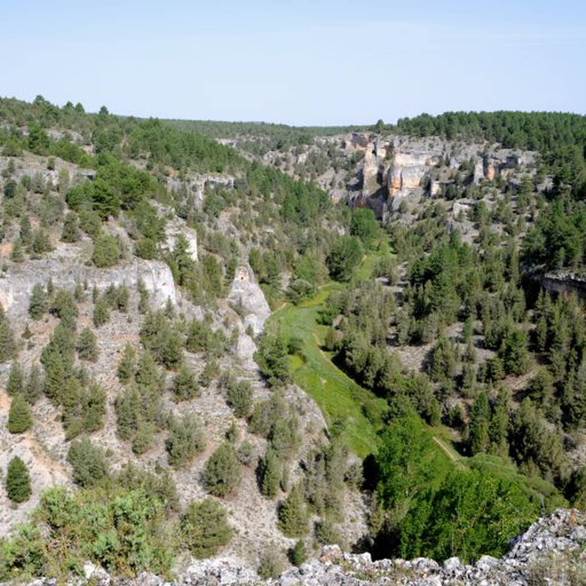 Paisaje natural en la provincia de Soria.