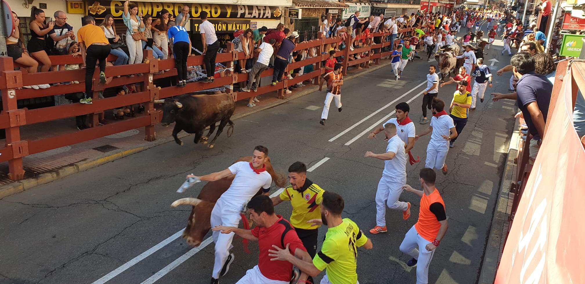 Séptimo encierro de las Fiestas de San Sebastián de los Reyes