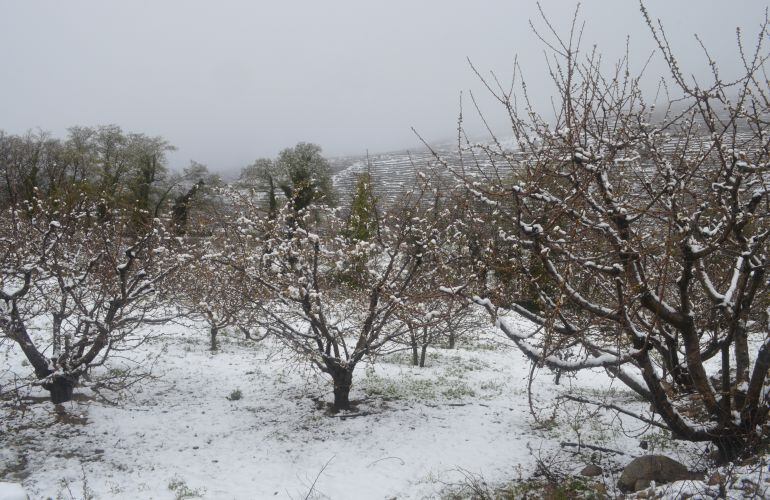 Algunos derezos del Valle del Jerte cubiertos por las últimas nevadas en el mes de abril